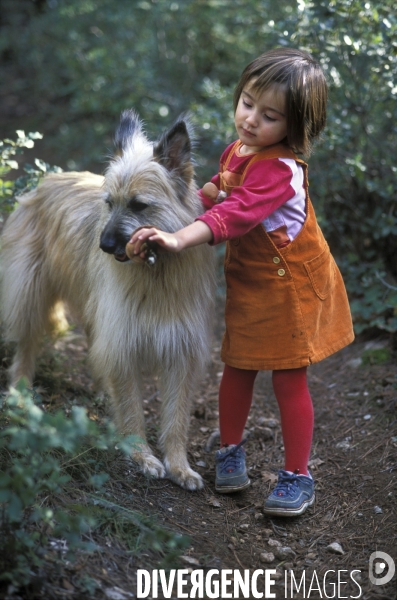 L enfant et les animaux : chien. Children and animals: dogs