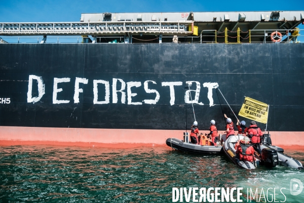 Action Greenpeace a Saint Nazaire pour lutter contre la déforestion.
