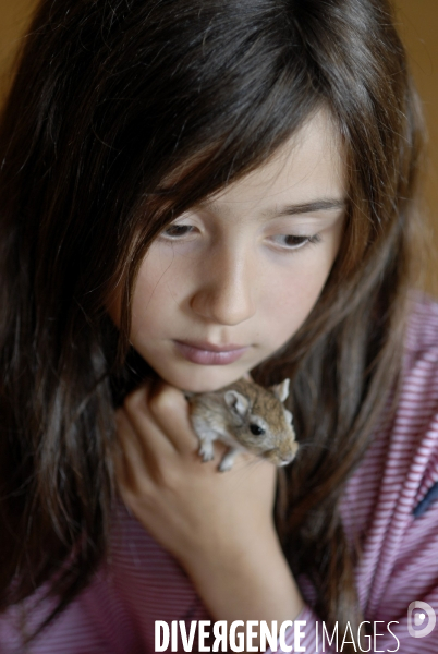 L enfant et les animaux : Les NACS, la gerbille. Nouveaux animaux de compagnie. Child and animals: new pets.