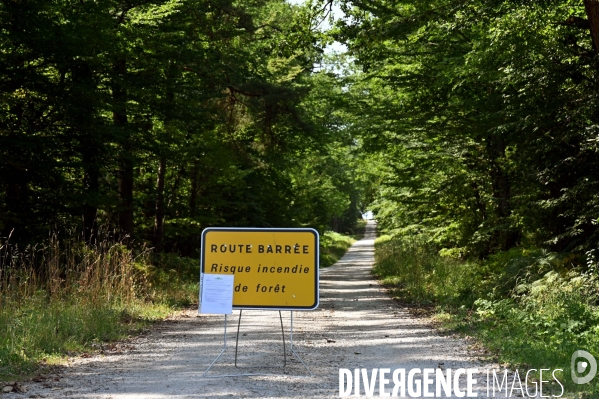 Chemins forestiers interdits à la circulation dans le Loir-et-Cher