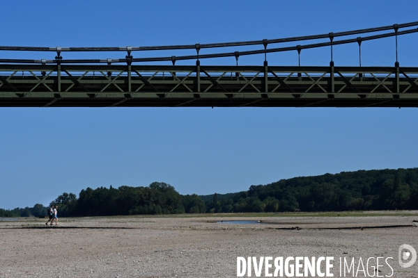 La Loire, canicule et sécheresse. Le débit du plus long fleuve de France inquiète