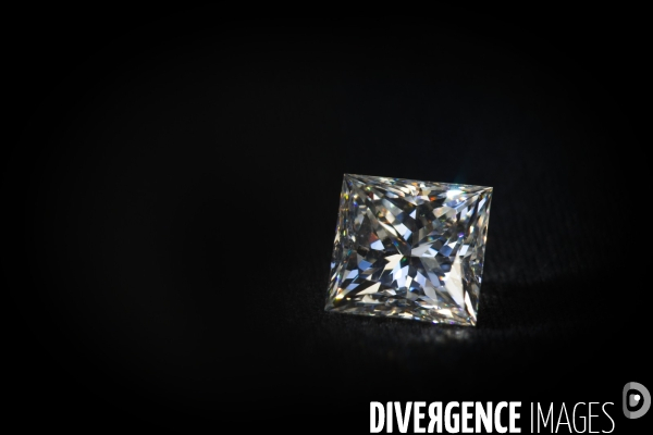Le diamantaire et ses diamants