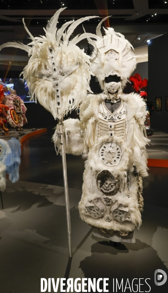 Exposition black indians au musee du quai branly