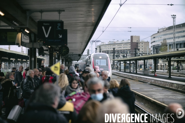 Grèves SNCF : les voyageurs inquiets pour les vacances de Noël