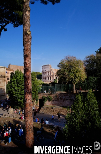 Rome / Le Colisée