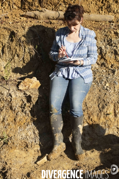 Chantier de fouilles sur le gisement du mammouth de durfort au muséum d histoire naturelle de paris