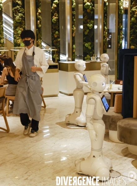 Pepper parlor le restaurant des robots pepper a tokyo