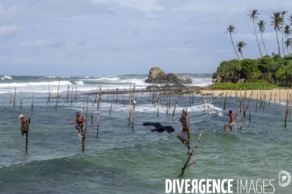SRI LANKA : Pêcheurs sur échasses à WELIGAMA