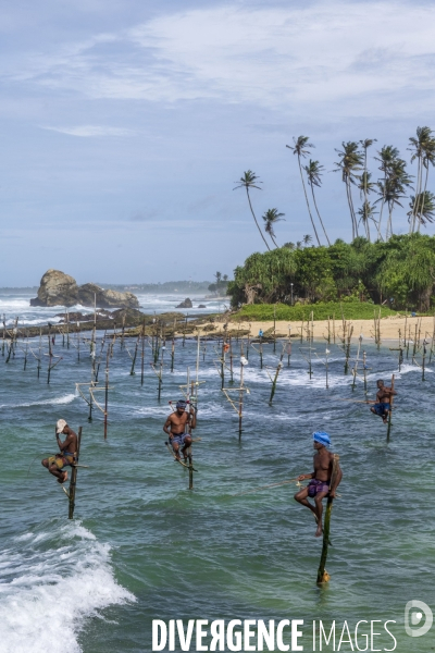 SRI LANKA : Pêcheurs sur échasses à WELIGAMA