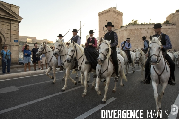 Cavalcade de chevaux à Marseille