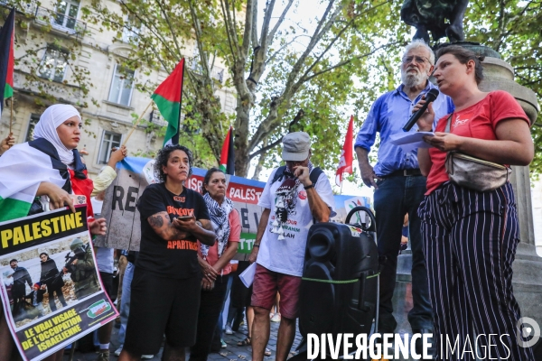 Manifestation à Bordeaux en soutien au peuple palestinien.