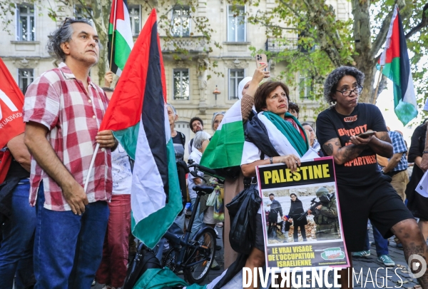 Manifestation à Bordeaux en soutien au peuple palestinien.