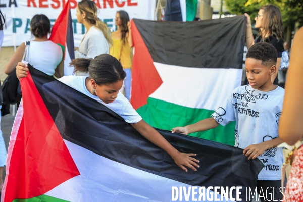 Rassemblement interdite et statique organisée par l association  France-Palestine Solidairé 