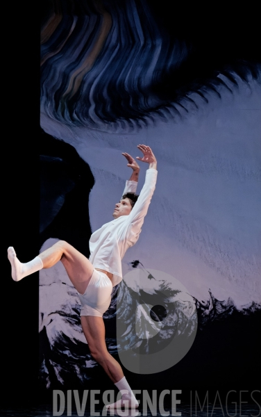 Anonyme /  Brett Fukuda / Ballet de lOpéra national du Rhin