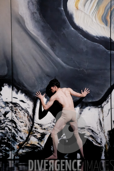 Adam  / Marwik Schmitt  / Ballet de lOpéra national du Rhin