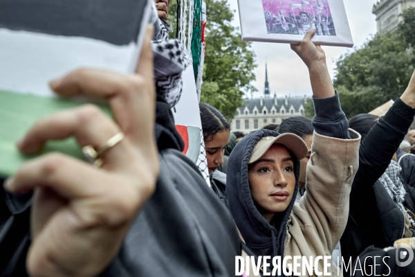 Manif prour Gaza et la Palestine à Paris