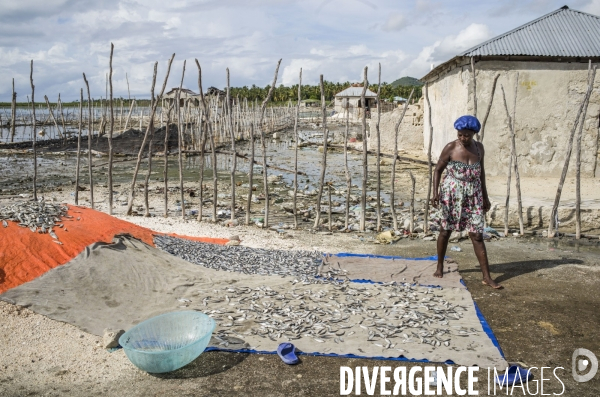 Pecheurs du village d aquin, haiti 2023.