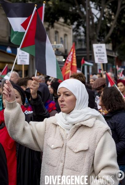 Grande manifestation de soutien à la Palestine