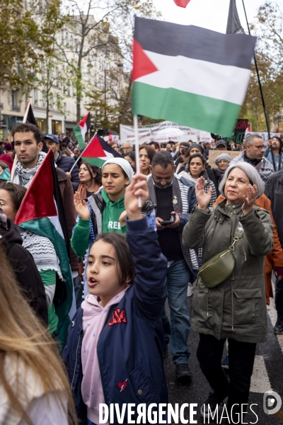 Grande manifestation de soutien à la Palestine