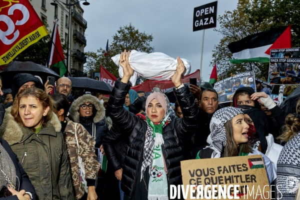 Manifestation pro palestienne pour un cessez le feu