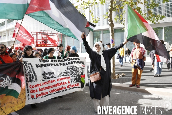 Marche de soutien a la Palestine