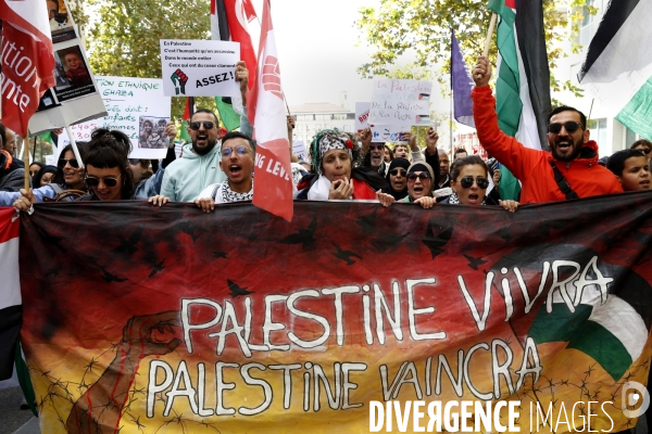 Marche de soutien a la Palestine