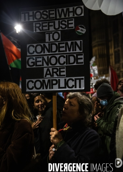 Rassemblement pour Gaza devant Westminster. 