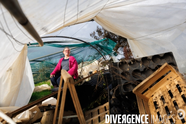 Dégâts agricoles dans le Finistère après la tempête Ciaran
