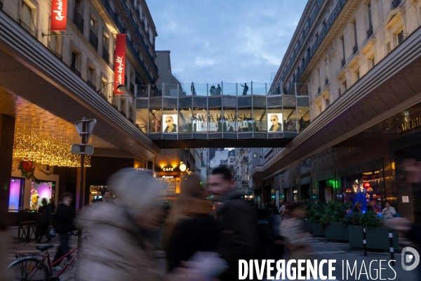 Les grands magasins parisiens . The Parisian department stores