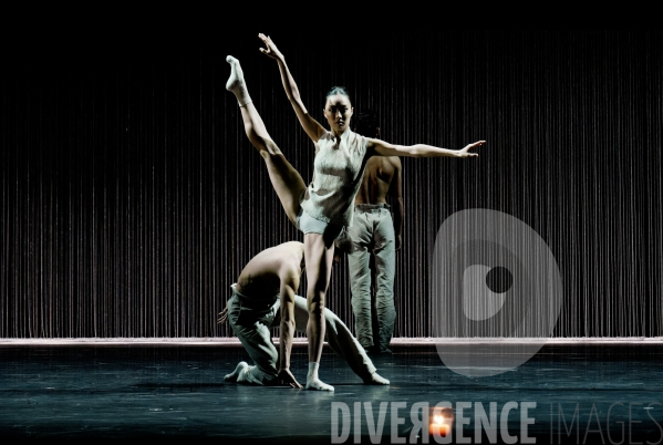 Gods and dogs / Jirí Kylián / Ballet de l   Opéra national de Paris