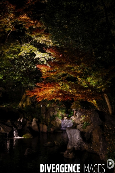 Le park de rikugien illumine a la tombee du jour en automne