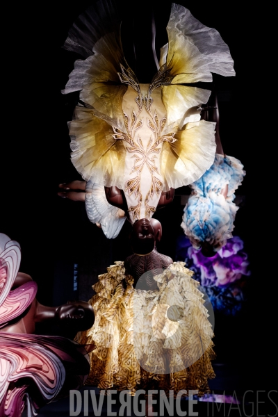 Iris Van Herpen / Sculpting the senses / musée des Arts décoratifs