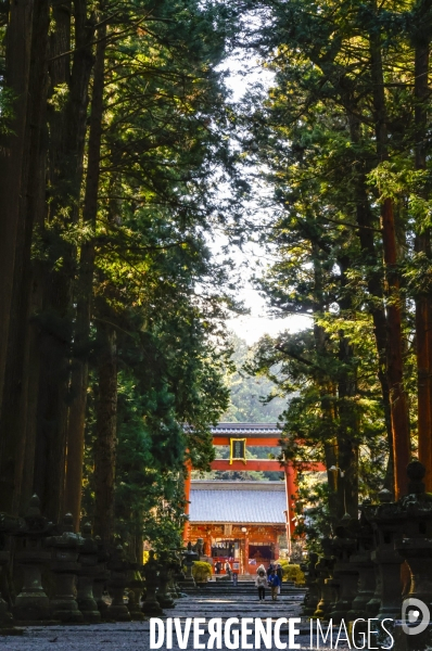 Kitaguchi hongu fuji sengen shrine japon