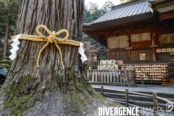 Kitaguchi hongu fuji sengen shrine japon