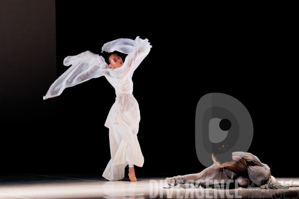 Muse paradox   / Brett Fukuda / Ballet de l   Opéra national du Rhin