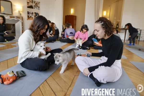 Puppy yoga a paris