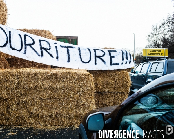 Blocage des agriculteurs, Argenteuil