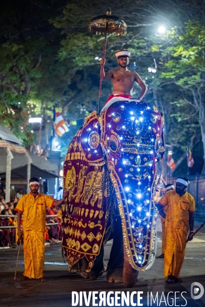 ESALA PERAHERA : Procession bouddhiste au Sri Lanka