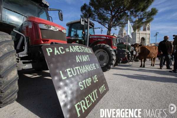 Manifestation des agriculteurs à Marseille