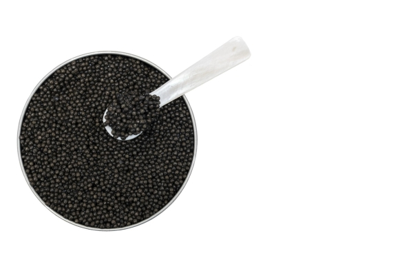 France - perigord - caviar de neuvic