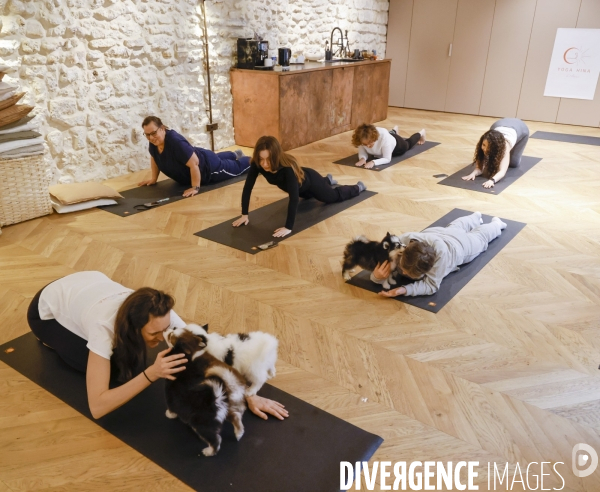 Puppy yoga chez yoga hina
