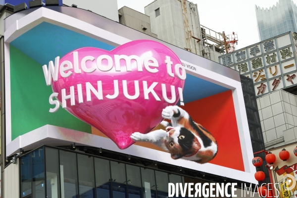 Un chat geant en 3 d dans un billboard a tokyo