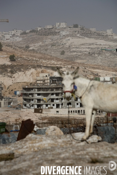 Israeli settlement in the west bank - colonie israelienne en cisjordanie