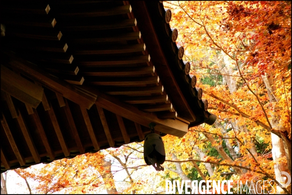 Couleurs de l automne sur le Mont Takao