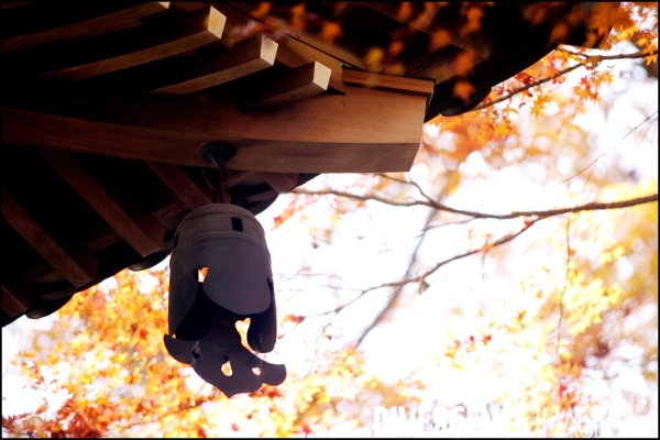 Couleurs de l automne sur le Mont Takao