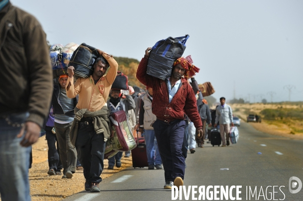 Colonne de deplaces a pieds sur la frontiere tuniso libyenne.