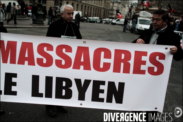 Manifestation Pour la Libye, l Algerie, la Palestine, le boycott d Israel, lesTamouls, et contre le colonialisme.
