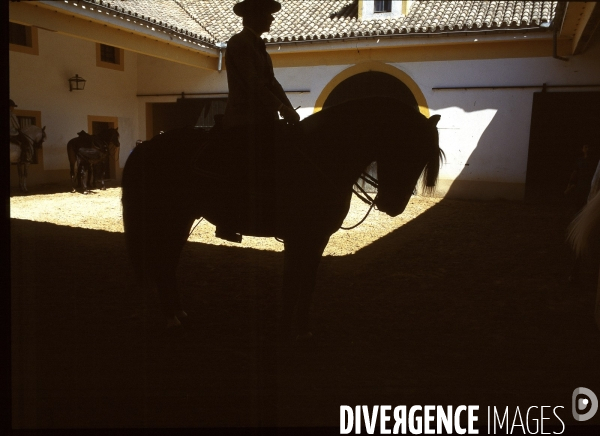 Ecole royale espagnole d équitation de Jerez