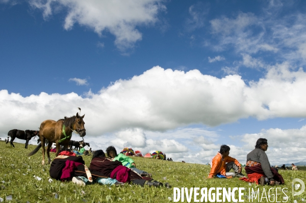 Course hippique sur le haut plateau tibétain - Horse race on tibetan plateau