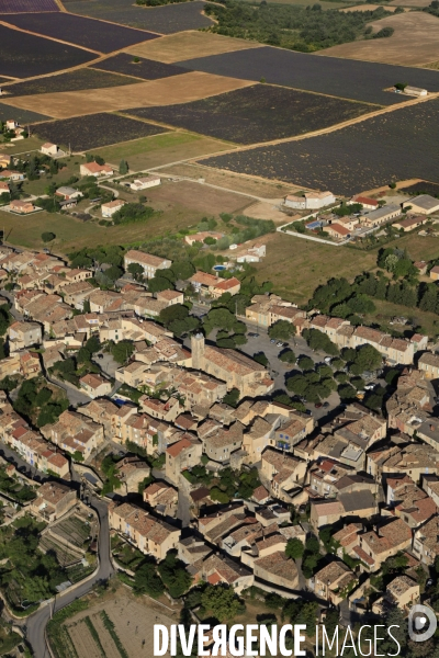 Vue aérienne de la récolte de lavande sur le plateau de Valensole